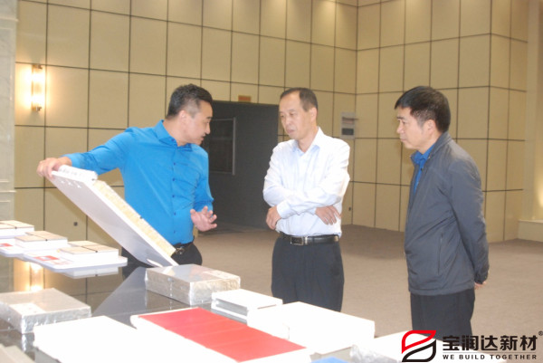 市產業集聚區冀偉主任來訪寶潤達參觀